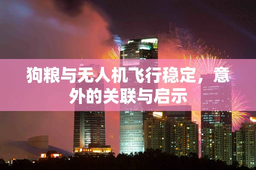 狗粮与无人机飞行稳定，意外的关联与启示