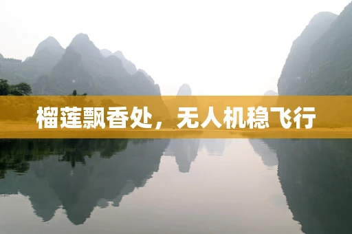榴莲飘香处，无人机稳飞行