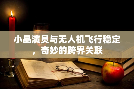 小品演员与无人机飞行稳定，奇妙的跨界关联