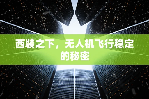 西装之下，无人机飞行稳定的秘密