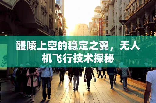 醴陵上空的稳定之翼，无人机飞行技术探秘