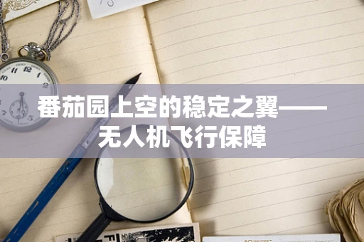 番茄园上空的稳定之翼——无人机飞行保障