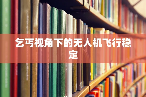 乞丐视角下的无人机飞行稳定