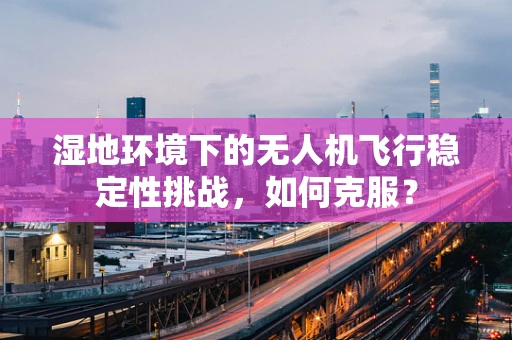 湿地环境下的无人机飞行稳定性挑战，如何克服？