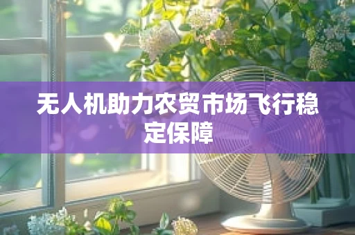 无人机助力农贸市场飞行稳定保障