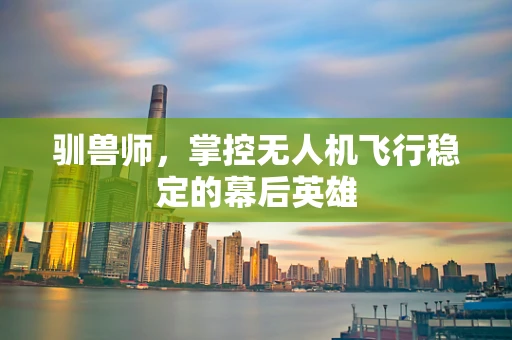 驯兽师，掌控无人机飞行稳定的幕后英雄