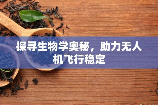探寻生物学奥秘，助力无人机飞行稳定