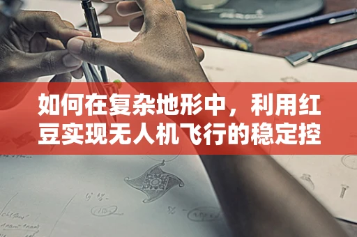 如何在复杂地形中，利用红豆实现无人机飞行的稳定控制？