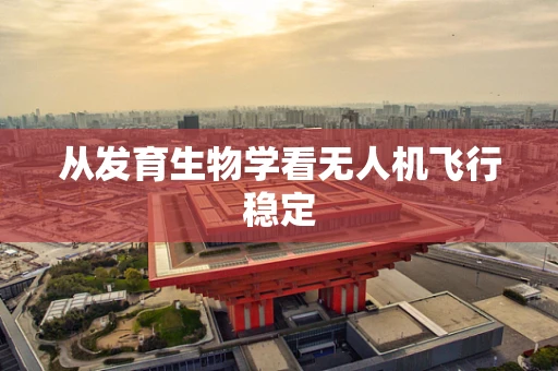从发育生物学看无人机飞行稳定