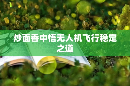 炒面香中悟无人机飞行稳定之道