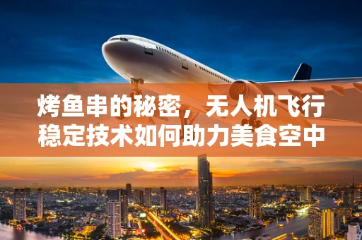 烤鱼串的秘密，无人机飞行稳定技术如何助力美食空中盛宴？