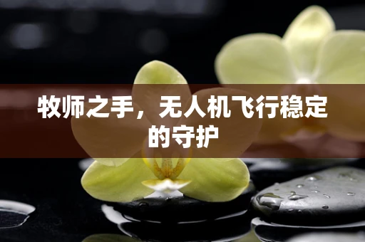 牧师之手，无人机飞行稳定的守护