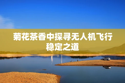 菊花茶香中探寻无人机飞行稳定之道