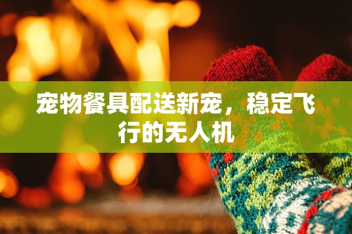 宠物餐具配送新宠，稳定飞行的无人机