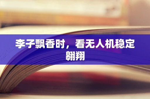 李子飘香时，看无人机稳定翱翔
