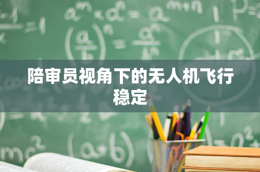 陪审员视角下的无人机飞行稳定