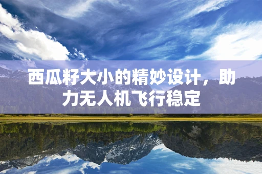 西瓜籽大小的精妙设计，助力无人机飞行稳定