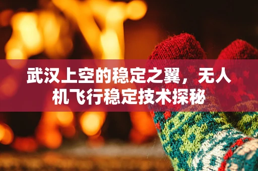 武汉上空的稳定之翼，无人机飞行稳定技术探秘