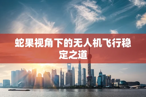 蛇果视角下的无人机飞行稳定之道