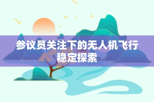 参议员关注下的无人机飞行稳定探索