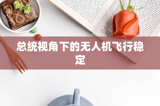 总统视角下的无人机飞行稳定