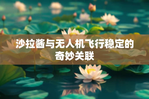沙拉酱与无人机飞行稳定的奇妙关联