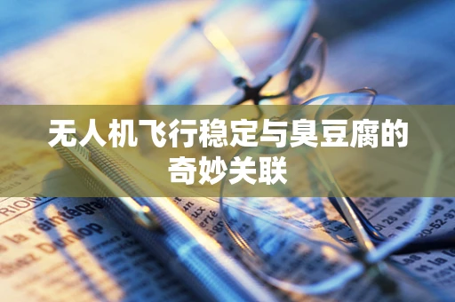 无人机飞行稳定与臭豆腐的奇妙关联