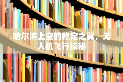 哈尔滨上空的稳定之翼，无人机飞行探秘