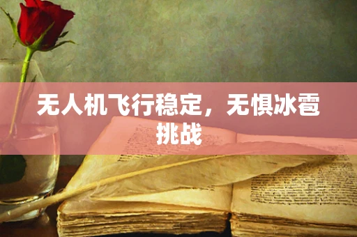 无人机飞行稳定，无惧冰雹挑战