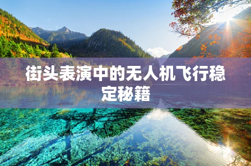 街头表演中的无人机飞行稳定秘籍