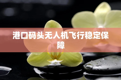 港口码头无人机飞行稳定保障