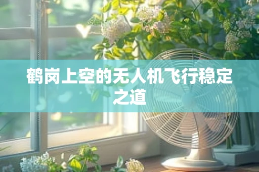鹤岗上空的无人机飞行稳定之道