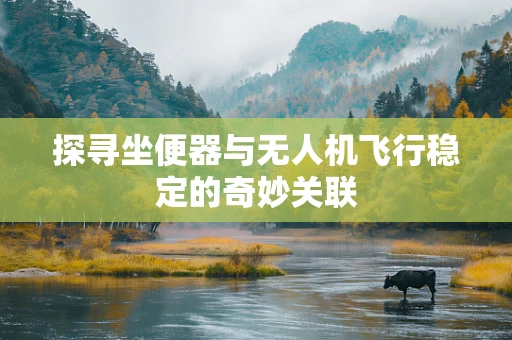 探寻坐便器与无人机飞行稳定的奇妙关联