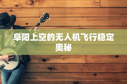阜阳上空的无人机飞行稳定奥秘