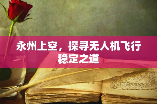 永州上空，探寻无人机飞行稳定之道