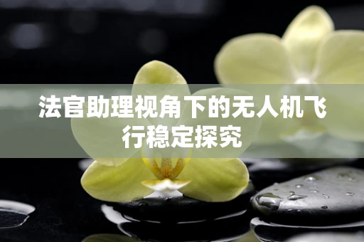 法官助理视角下的无人机飞行稳定探究