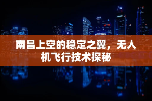 南昌上空的稳定之翼，无人机飞行技术探秘