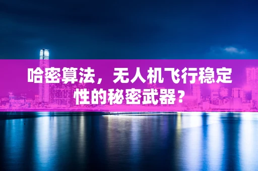 哈密算法，无人机飞行稳定性的秘密武器？