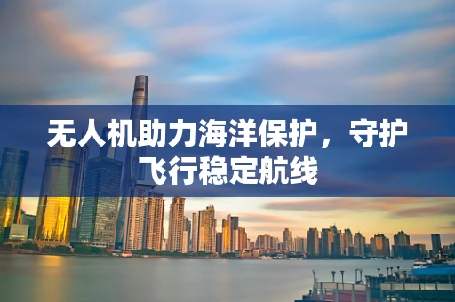 无人机助力海洋保护，守护飞行稳定航线