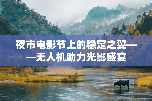夜市电影节上的稳定之翼——无人机助力光影盛宴