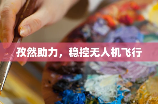 孜然助力，稳控无人机飞行
