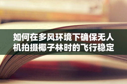 如何在多风环境下确保无人机拍摄椰子林时的飞行稳定？