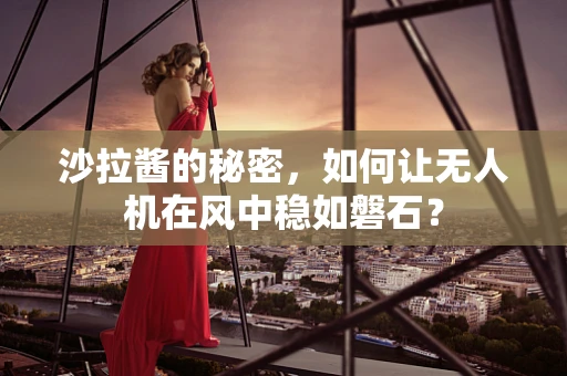 沙拉酱的秘密，如何让无人机在风中稳如磐石？