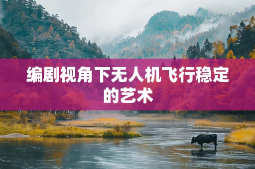 编剧视角下无人机飞行稳定的艺术