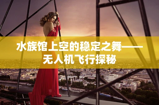水族馆上空的稳定之舞——无人机飞行探秘