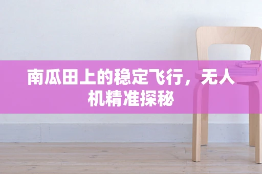 南瓜田上的稳定飞行，无人机精准探秘