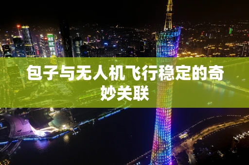 包子与无人机飞行稳定的奇妙关联