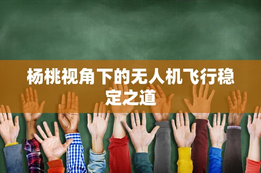 杨桃视角下的无人机飞行稳定之道