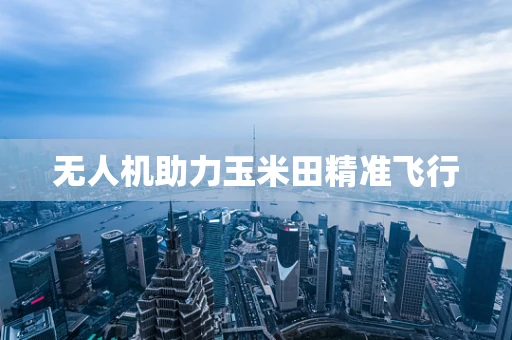 无人机助力玉米田精准飞行