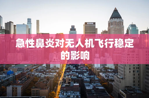 急性鼻炎对无人机飞行稳定的影响